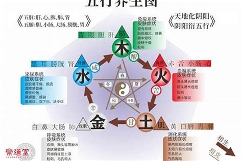 陰火人|三界五行：火形人有性格